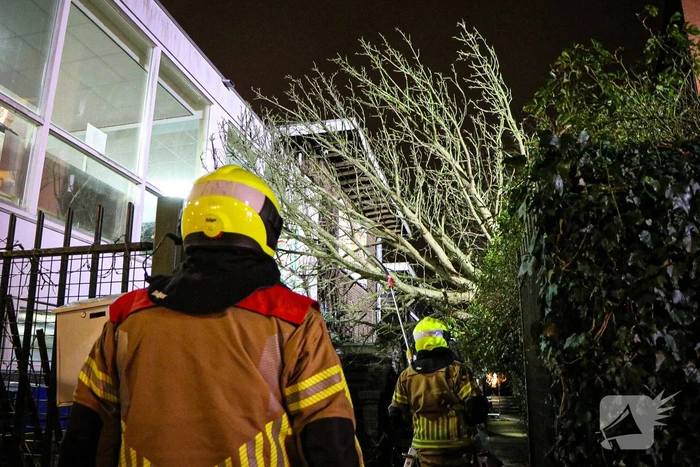 Boom valt tegen gebouw door harde wind