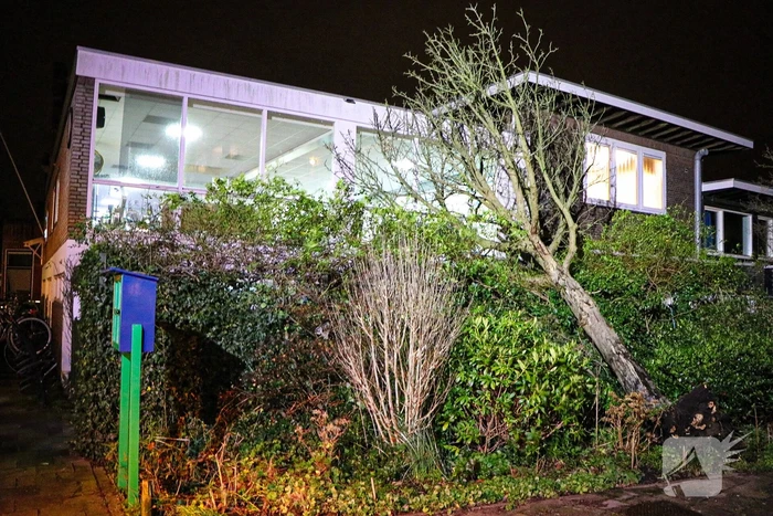 Boom valt tegen gebouw door harde wind
