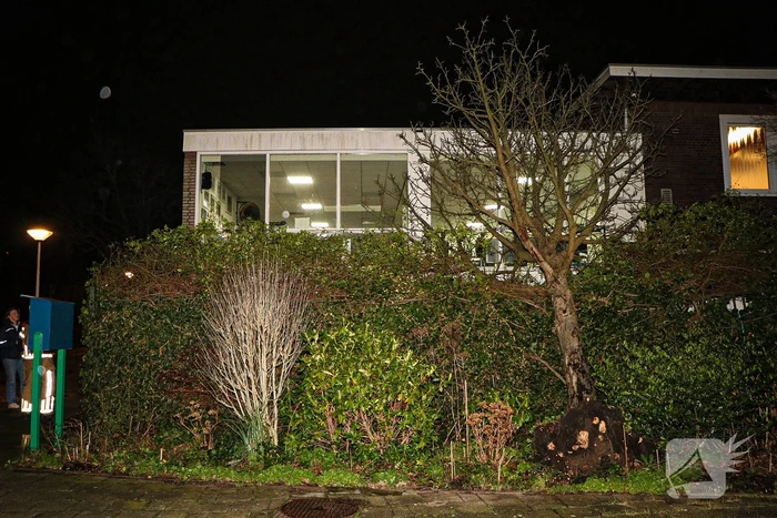 Boom valt tegen gebouw door harde wind