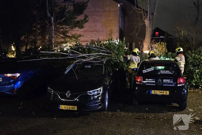 Boom belandt op geparkeerde auto
