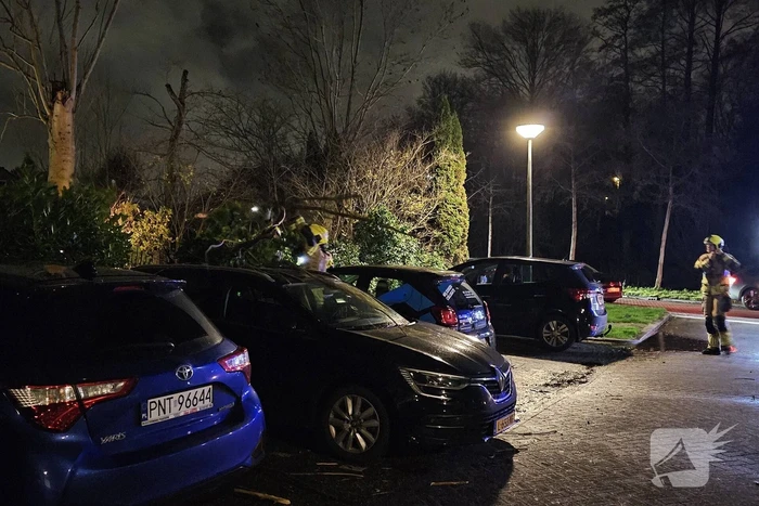 Boom belandt op geparkeerde auto