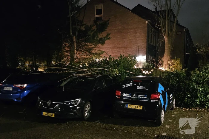 Boom belandt op geparkeerde auto