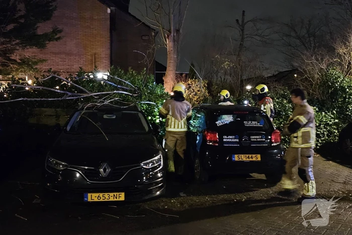 Boom belandt op geparkeerde auto