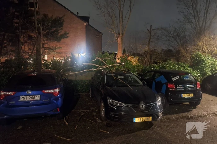 Boom belandt op geparkeerde auto