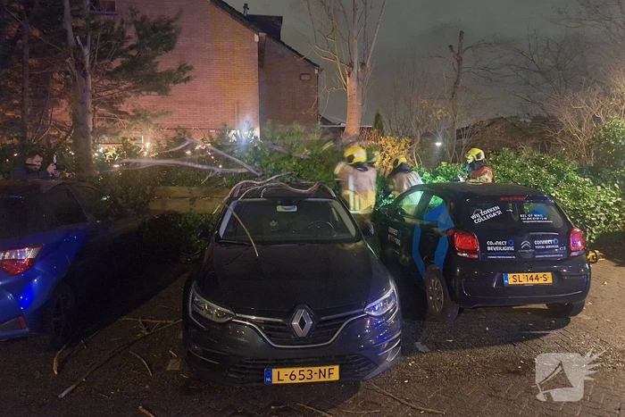Boom belandt op geparkeerde auto