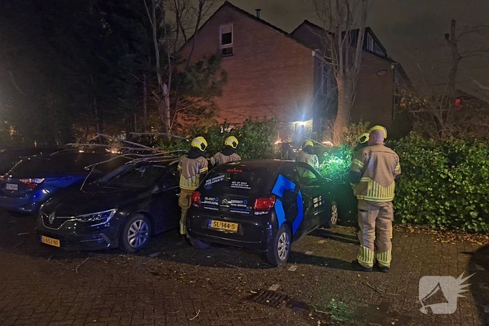 Boom belandt op geparkeerde auto