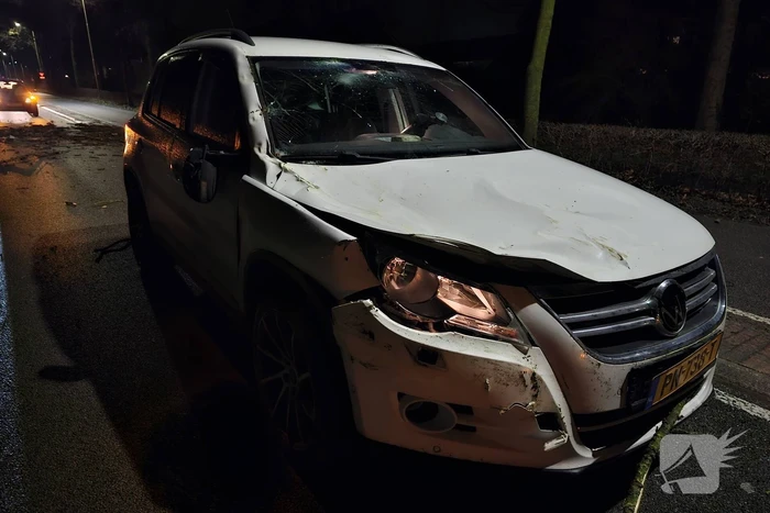 Auto zwaar beschadigd na vallende boom