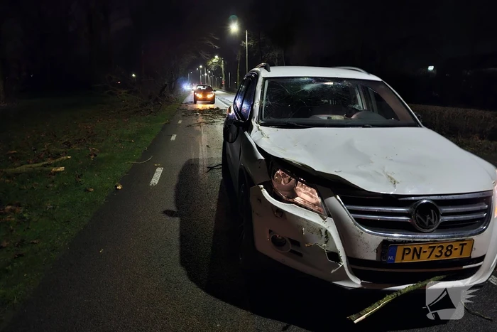 Auto zwaar beschadigd na vallende boom