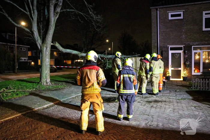 natuur van lierdreef voorschoten
