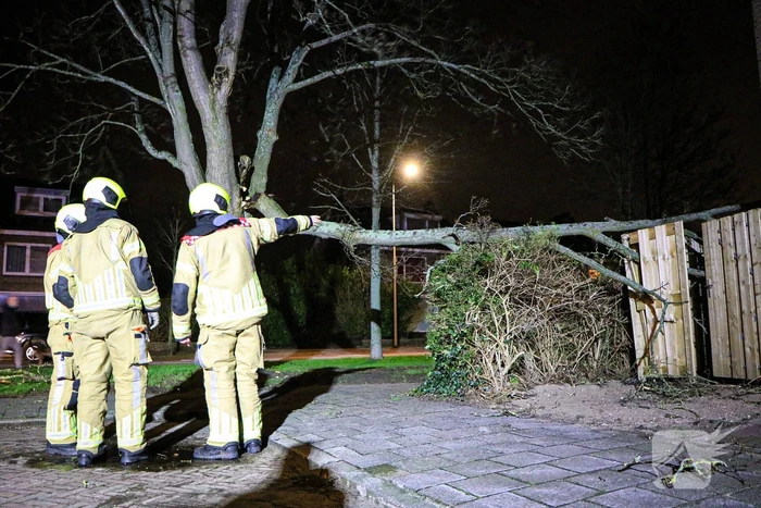 Grote tak breekt af en valt op schutting