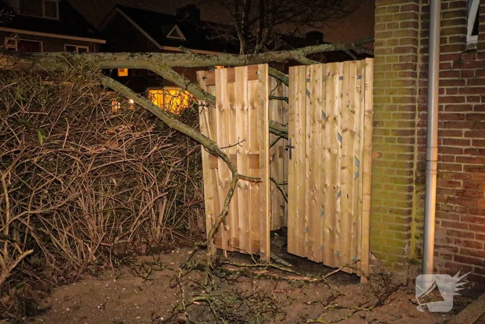 Grote tak breekt af en valt op schutting
