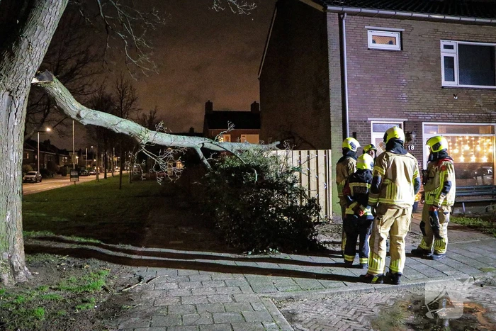 Grote tak breekt af en valt op schutting