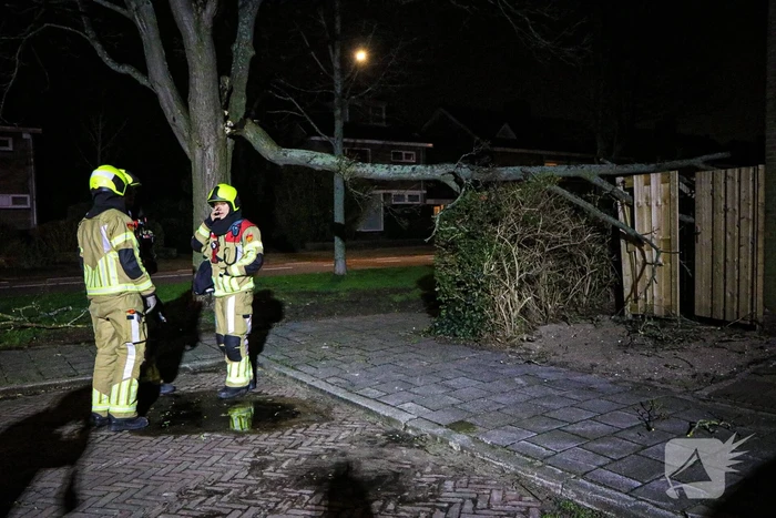 Grote tak breekt af en valt op schutting