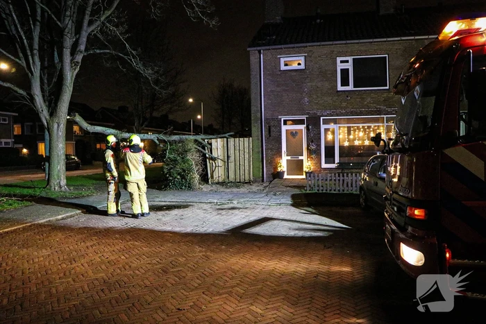 Grote tak breekt af en valt op schutting