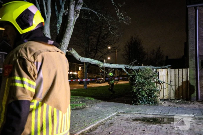Grote tak breekt af en valt op schutting