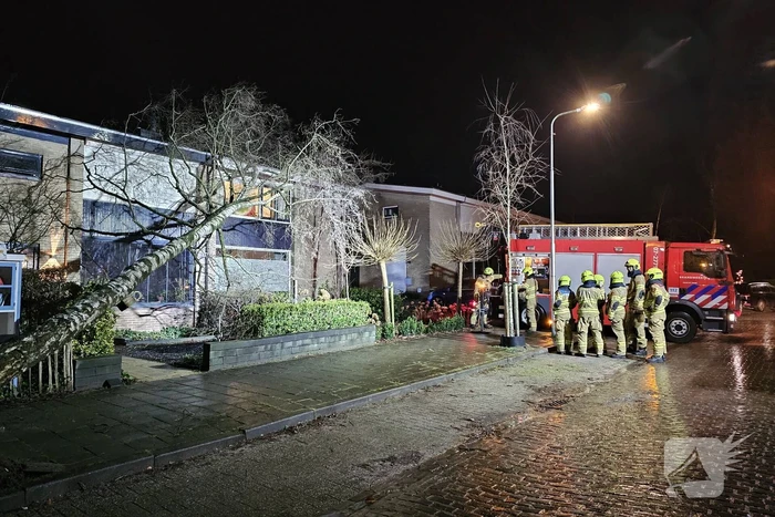 natuur nieuwe kazernelaan ede