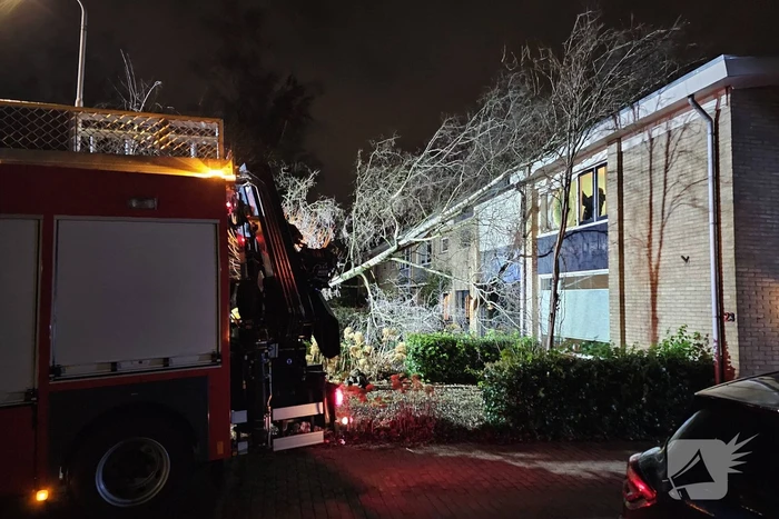 Grote boom waait om en belandt tegen woning