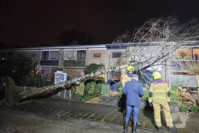 Grote boom waait om en belandt tegen woning