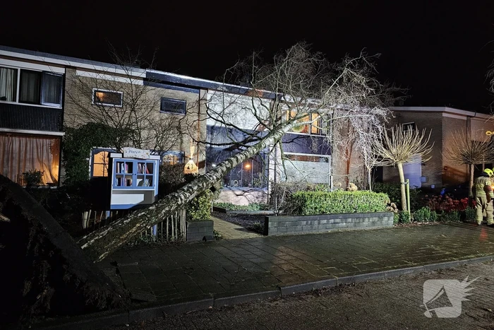 Grote boom waait om en belandt tegen woning
