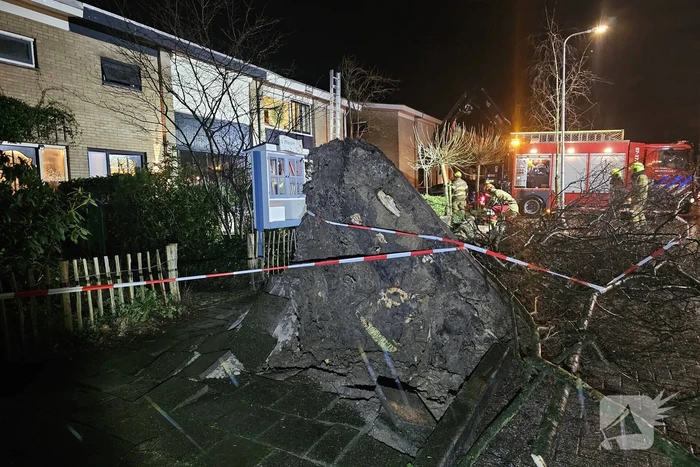Grote boom waait om en belandt tegen woning