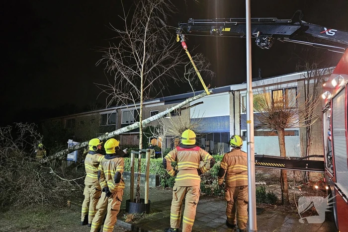 Grote boom waait om en belandt tegen woning