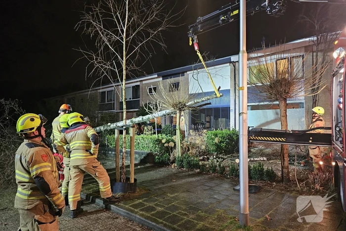 Grote boom waait om en belandt tegen woning