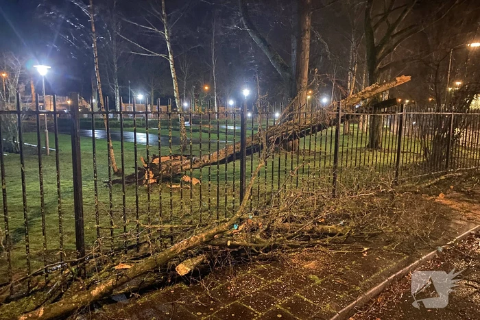 Omgevallen boom valt op hekwerk en blokkeert weg