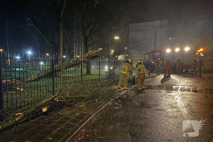 Omgevallen boom valt op hekwerk en blokkeert weg
