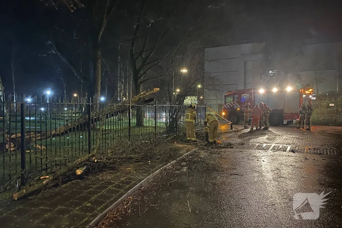Omgevallen boom valt op hekwerk en blokkeert weg