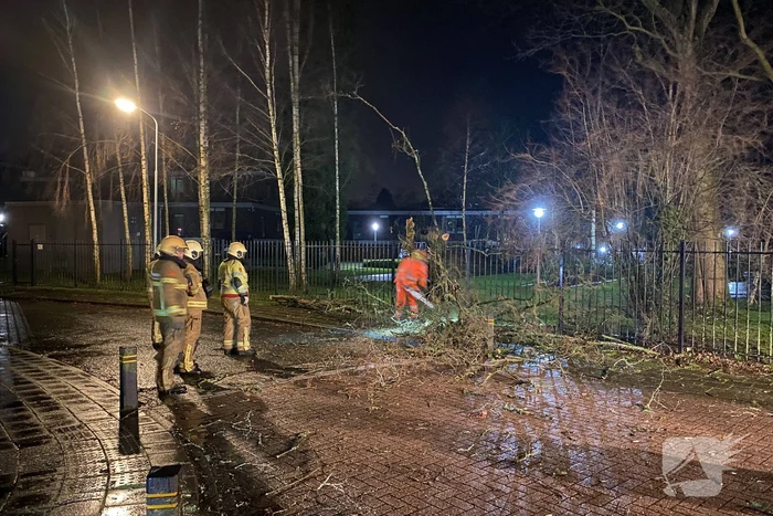 natuur boterdijk nunspeet
