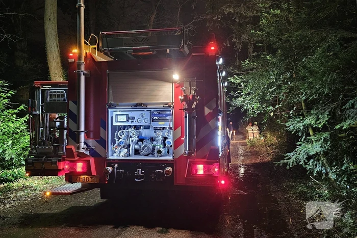 Brandweer verwijdert twee omgevallen bomen