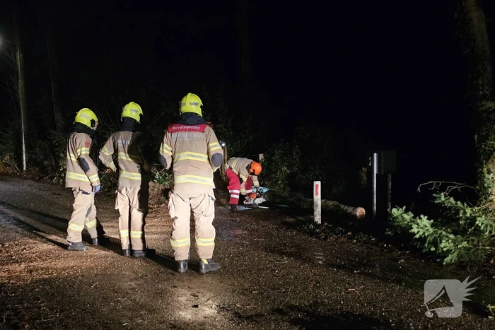 Brandweer verwijdert twee omgevallen bomen