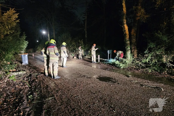 Brandweer verwijdert twee omgevallen bomen