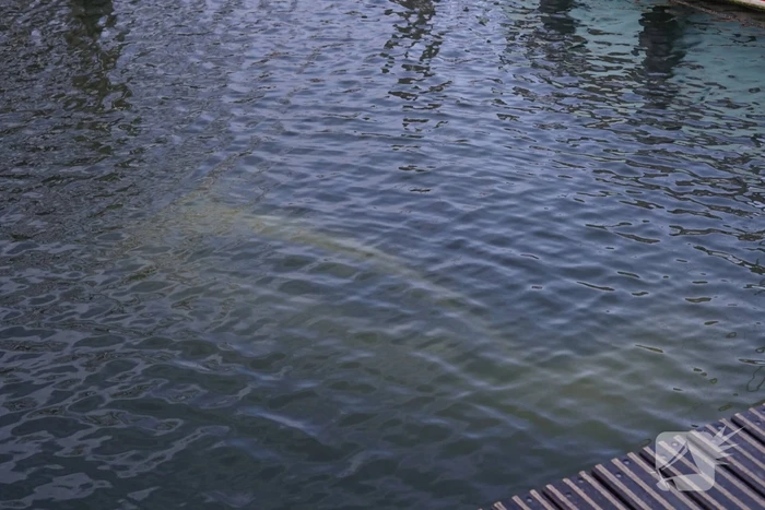 Auto door vergeten handrem te water geraakt