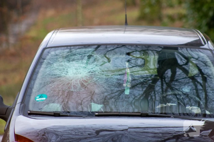 Automobilist rijdt op paal