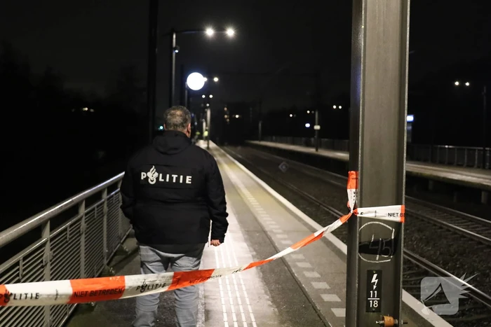 nieuws yellowstone purmerend