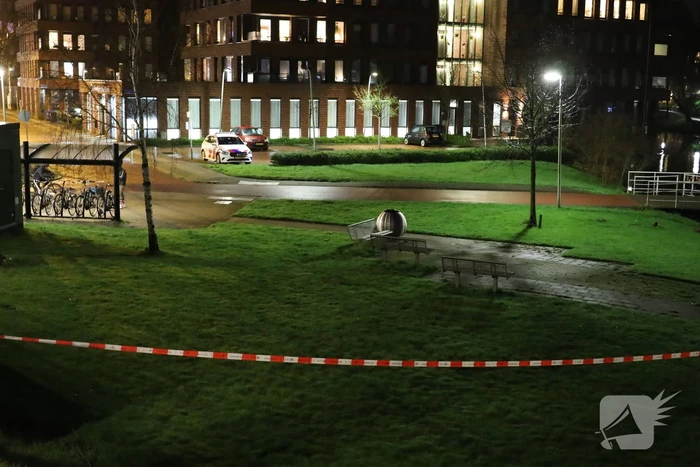Aanhoudingen na vuurwapen melding op station
