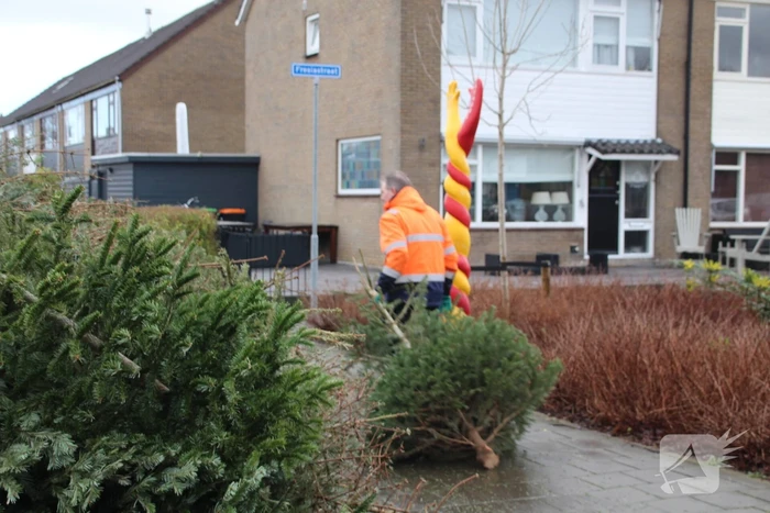 Kerstbomen ingezameld op 16 inzamellocaties