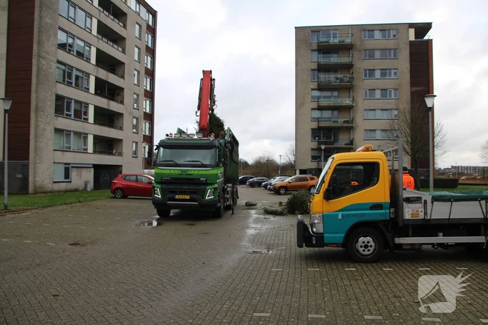 Kerstbomen ingezameld op 16 inzamellocaties