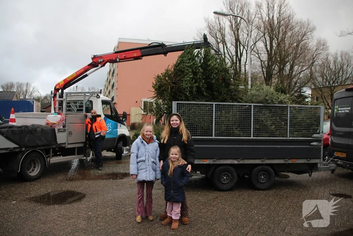 Kerstbomen ingezameld op 16 inzamellocaties