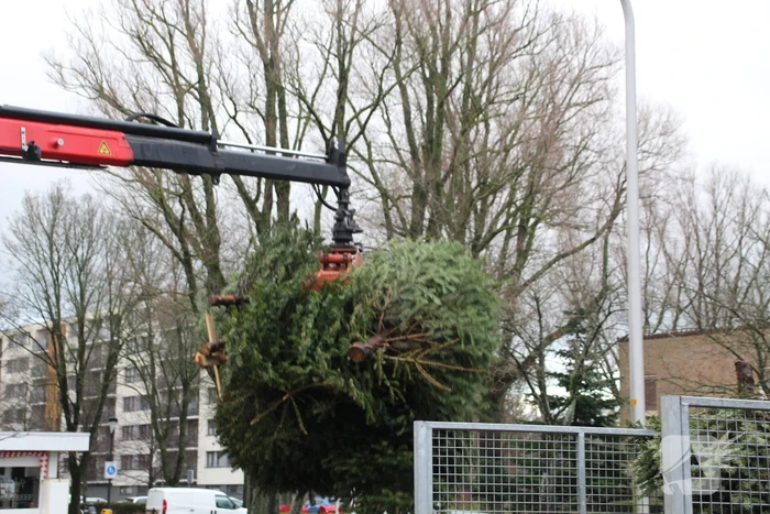 Kerstbomen ingezameld op 16 inzamellocaties