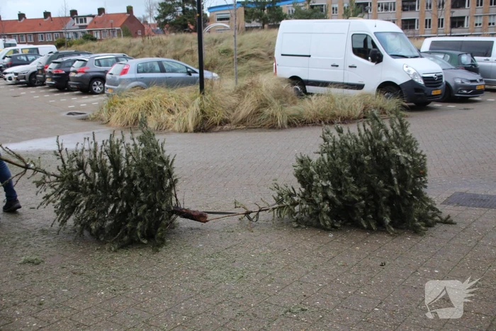 Kerstbomen ingezameld op 16 inzamellocaties