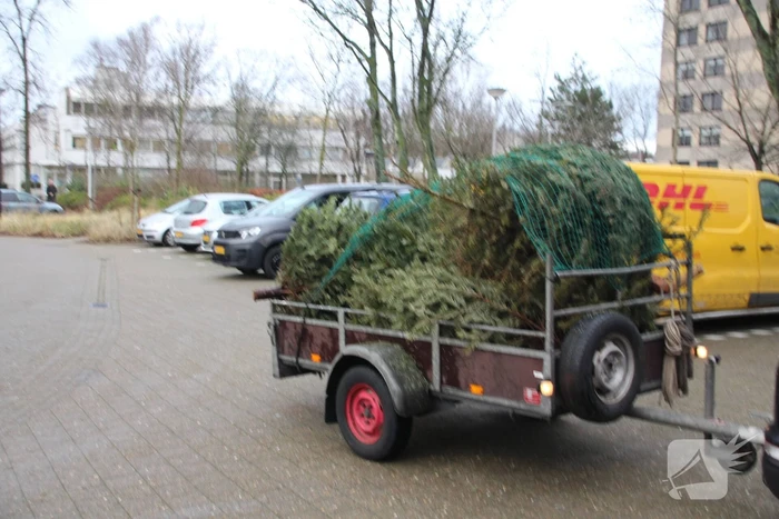 Kerstbomen ingezameld op 16 inzamellocaties