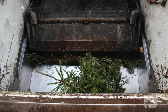 Kerstbomen ingezameld op 16 inzamellocaties