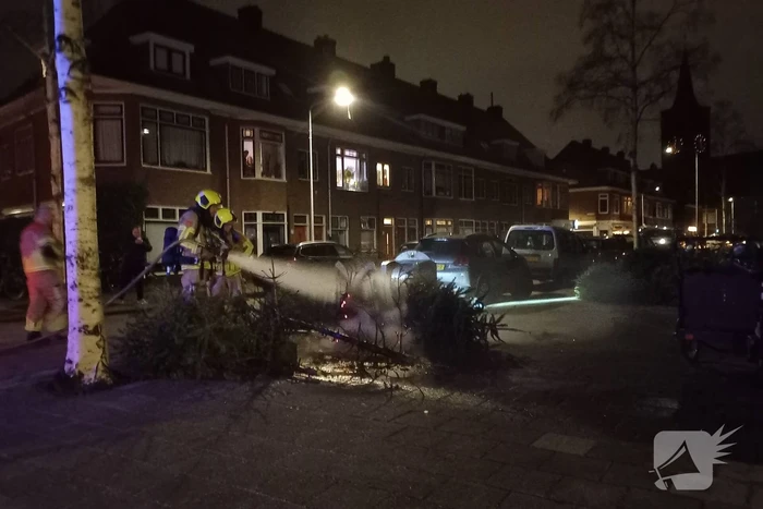 Brand in grote stapel kerstbomen
