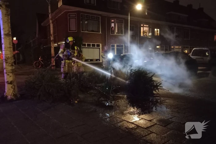Brand in grote stapel kerstbomen