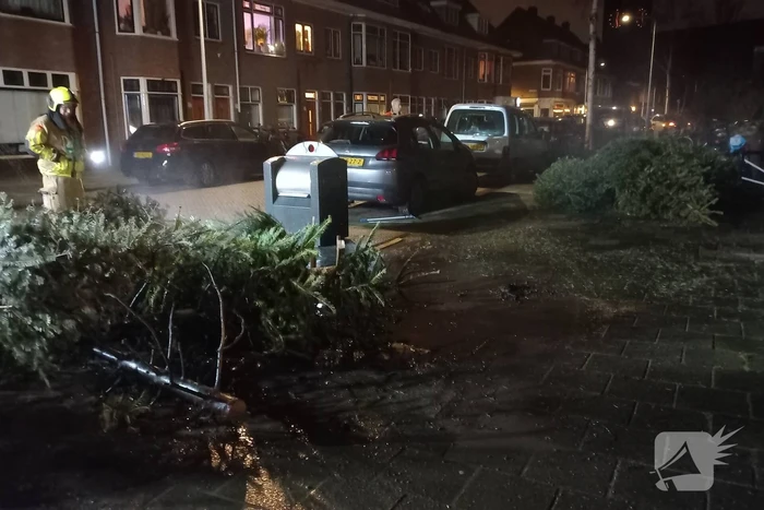 Brand in grote stapel kerstbomen