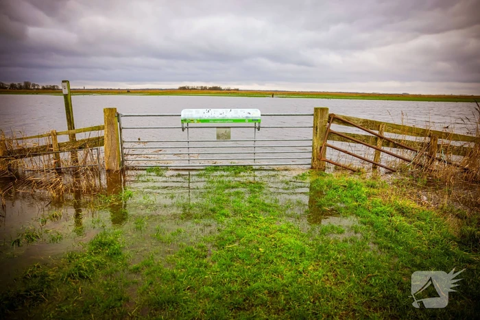 Hoogwater in de polder