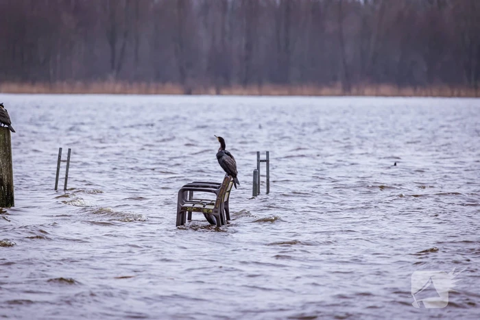 Hoogwater in de polder