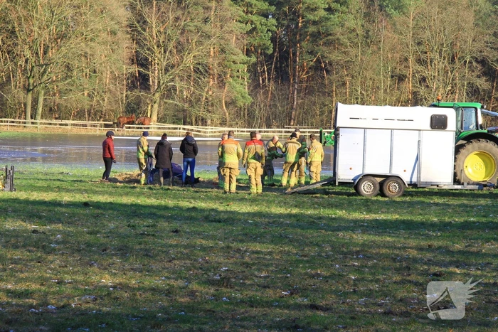 Brandweer ingezet voor een paard in nood
